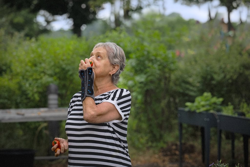 Ältere Frau im Garten, lächelnd, isst Tomaten, trägt schwarz-weiß gestreiftes Shirt und Handgelenksschiene.